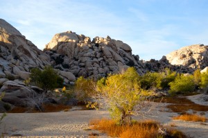 Barker Dam - A great hike