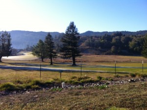 Ice on the Golf Course
