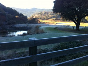 Ice on the bridge and all around the pond.