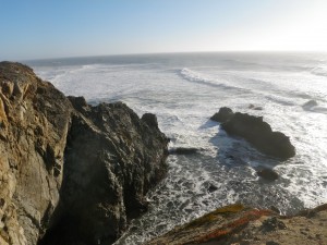The most prominent geological feature of Bodega Bay is Bodega Head, a peninsula that forms the the protective arm between the ocean and the bay. The San Andreas fault runs right through it, separating steep rocky bluffs from sandy dunes. Atop the bluffs, grasslands rise more gently to the coastal ridges. 