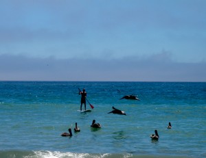 Paddle Boarding at the beach