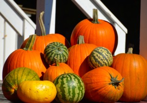 Some of the many pumpkins aligning the streets.