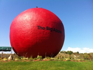 Last stop- The Big Apple- a fun place for lunch and incredible apple pie! 