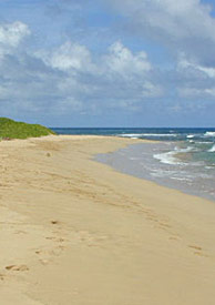 Kauai