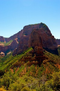 Zion National park   