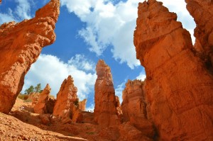 Bryce Canyon   