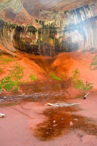 Zion National park   