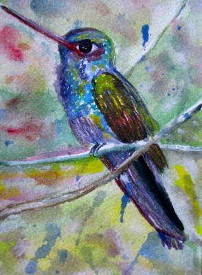 Hummingbird  