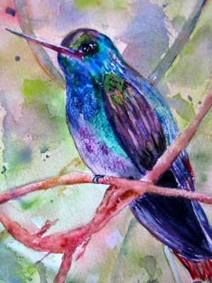 Hummingbird 