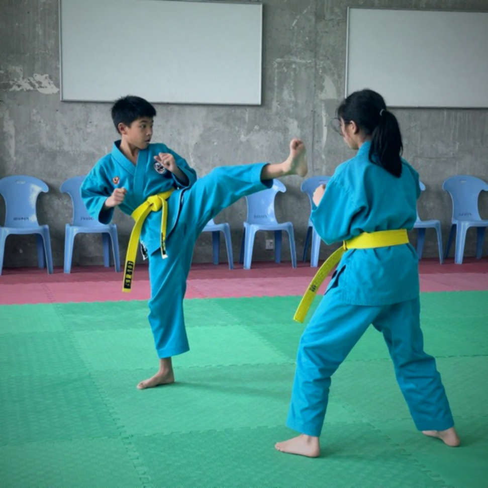 Vietnamese Martial Arts in 2026: Forms, the Arena, and the Missing Rulebook