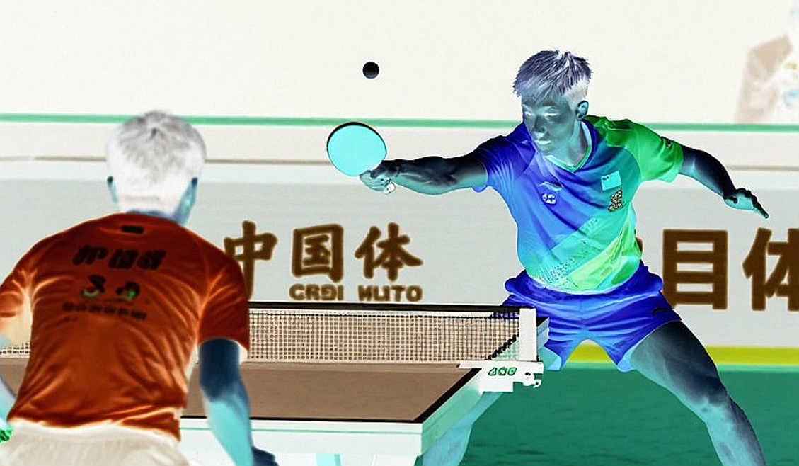 Belgium Open 2026: Hai ngôi vô địch U21 của Bồ Đào Nha và khoảng cách bị bảng điểm che mất