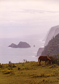 Big Island